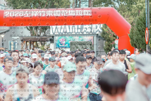 2026左岸竹東櫻花馬拉松Zhudong Sakura Marathon