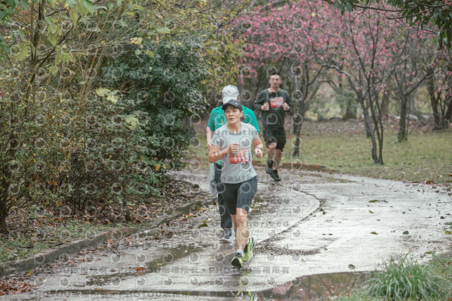 2026左岸竹東櫻花馬拉松Zhudong Sakura Marathon