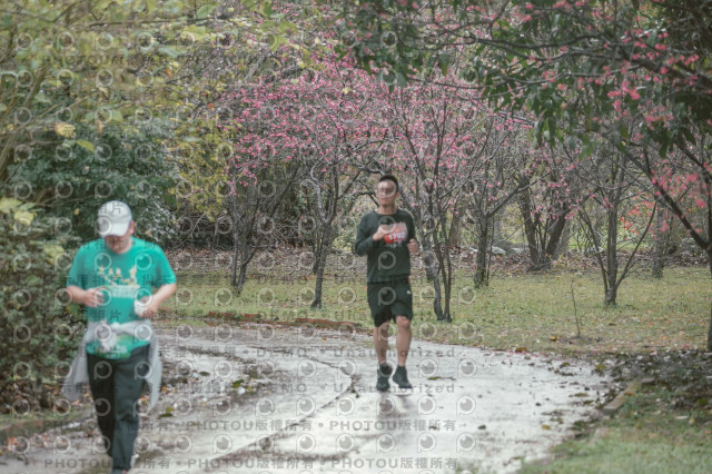 2026左岸竹東櫻花馬拉松Zhudong Sakura Marathon