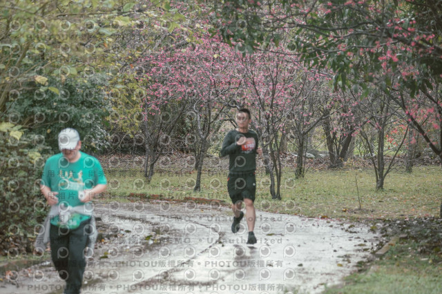 2026左岸竹東櫻花馬拉松Zhudong Sakura Marathon