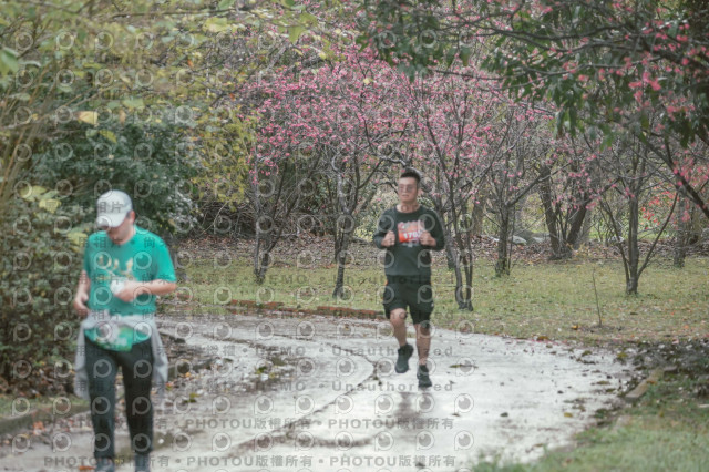 2026左岸竹東櫻花馬拉松Zhudong Sakura Marathon