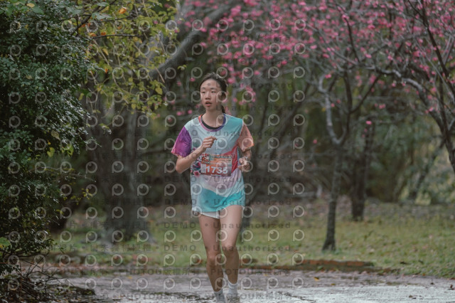 2026左岸竹東櫻花馬拉松Zhudong Sakura Marathon