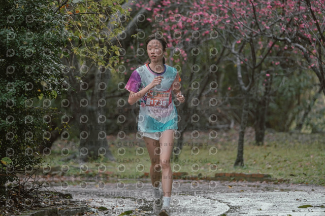 2026左岸竹東櫻花馬拉松Zhudong Sakura Marathon