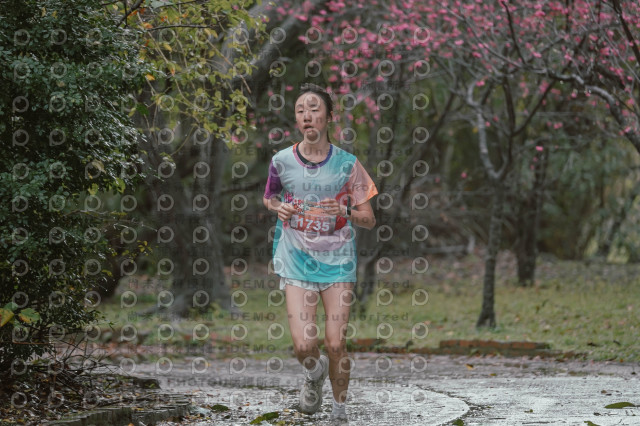 2026左岸竹東櫻花馬拉松Zhudong Sakura Marathon