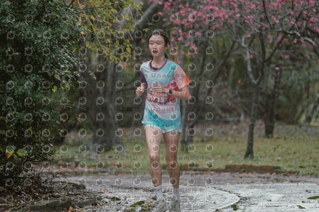 2026左岸竹東櫻花馬拉松Zhudong Sakura Marathon