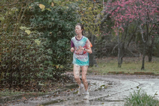 2026左岸竹東櫻花馬拉松Zhudong Sakura Marathon