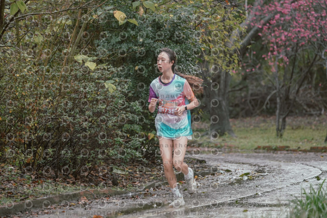 2026左岸竹東櫻花馬拉松Zhudong Sakura Marathon
