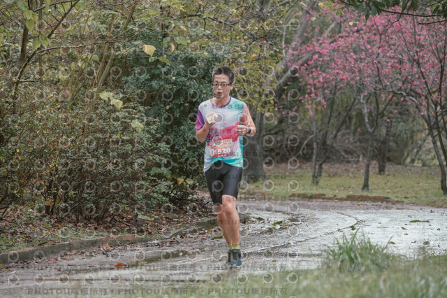 2026左岸竹東櫻花馬拉松Zhudong Sakura Marathon
