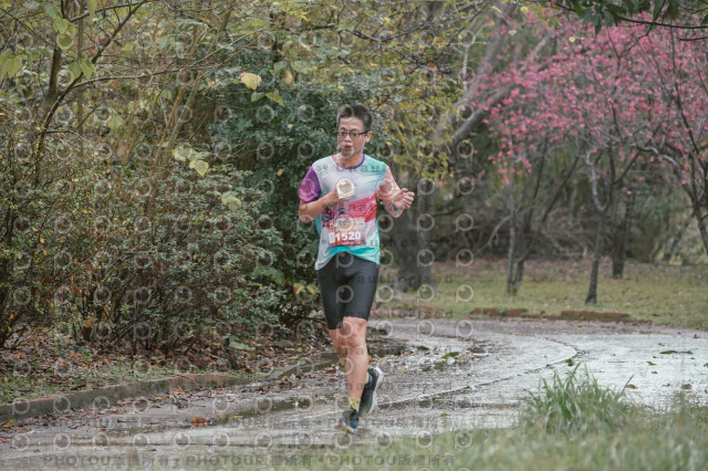 2026左岸竹東櫻花馬拉松Zhudong Sakura Marathon