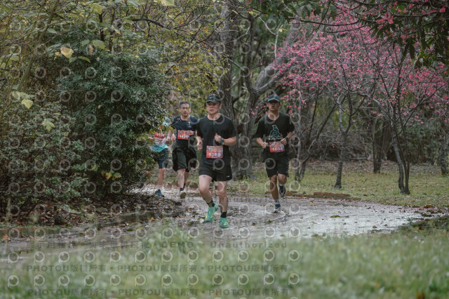 2026左岸竹東櫻花馬拉松Zhudong Sakura Marathon