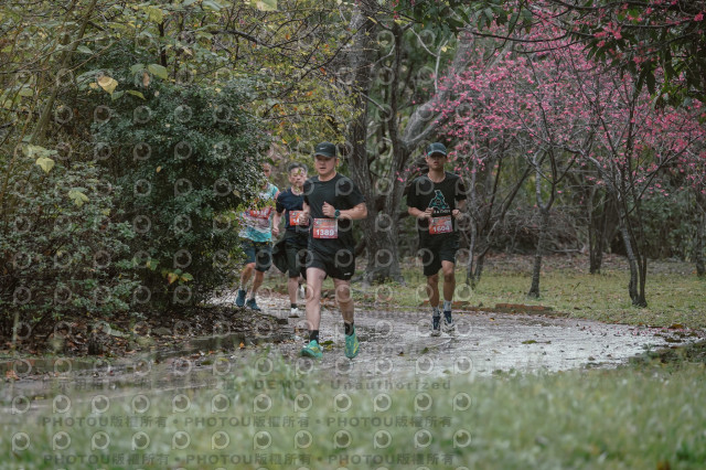 2026左岸竹東櫻花馬拉松Zhudong Sakura Marathon
