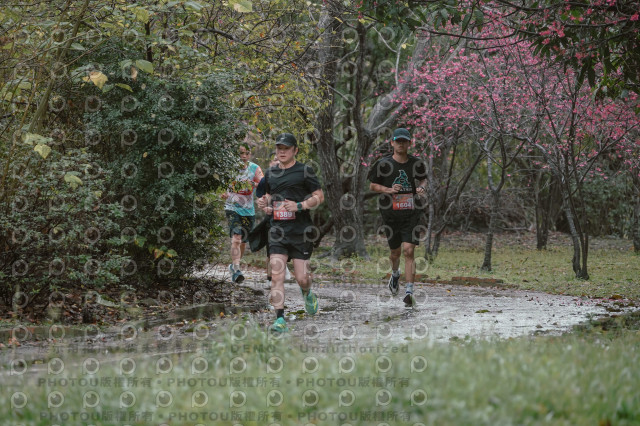 2026左岸竹東櫻花馬拉松Zhudong Sakura Marathon