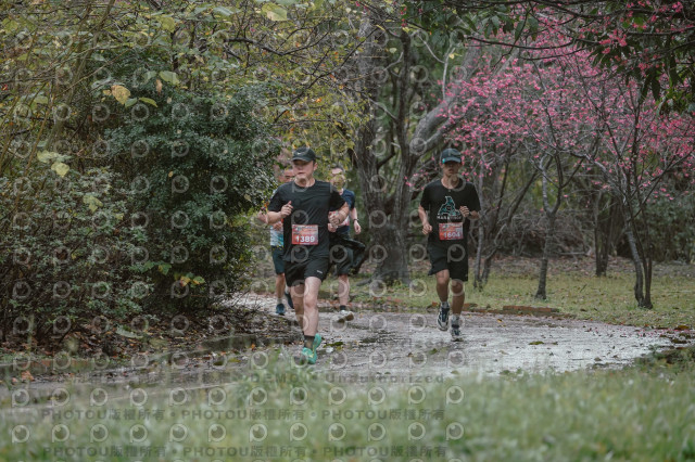 2026左岸竹東櫻花馬拉松Zhudong Sakura Marathon