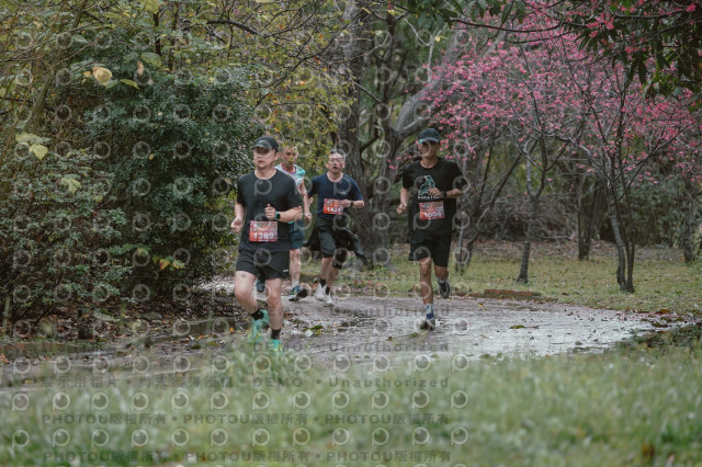 2026左岸竹東櫻花馬拉松Zhudong Sakura Marathon