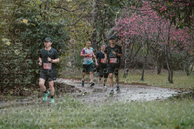 2026左岸竹東櫻花馬拉松Zhudong Sakura Marathon