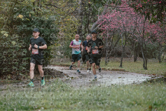 2026左岸竹東櫻花馬拉松Zhudong Sakura Marathon
