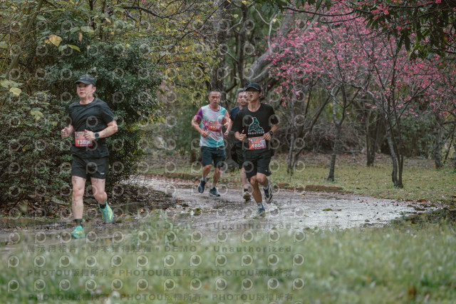 2026左岸竹東櫻花馬拉松Zhudong Sakura Marathon