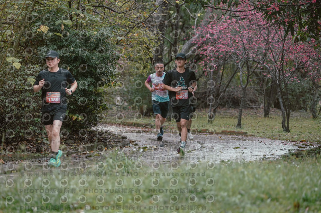 2026左岸竹東櫻花馬拉松Zhudong Sakura Marathon