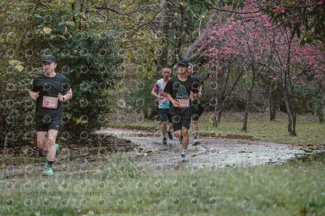 2026左岸竹東櫻花馬拉松Zhudong Sakura Marathon