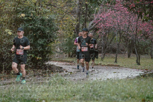 2026左岸竹東櫻花馬拉松Zhudong Sakura Marathon