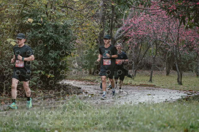 2026左岸竹東櫻花馬拉松Zhudong Sakura Marathon