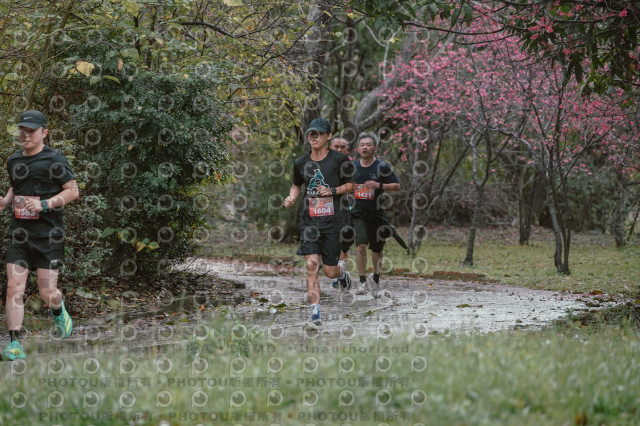 2026左岸竹東櫻花馬拉松Zhudong Sakura Marathon