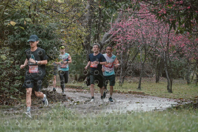 2026左岸竹東櫻花馬拉松Zhudong Sakura Marathon