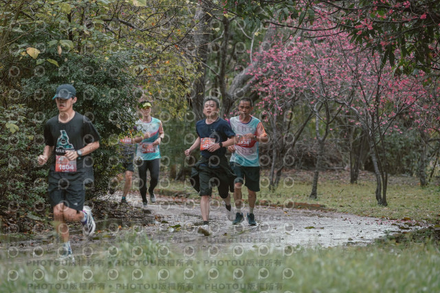 2026左岸竹東櫻花馬拉松Zhudong Sakura Marathon