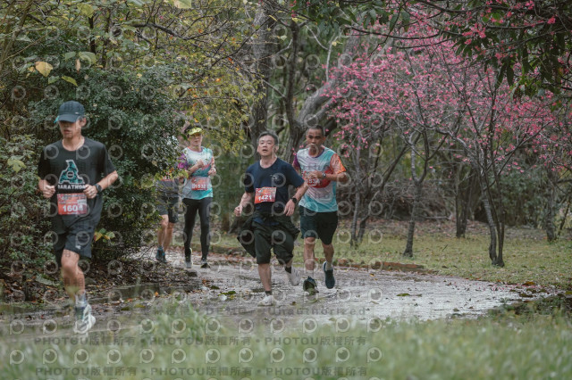 2026左岸竹東櫻花馬拉松Zhudong Sakura Marathon