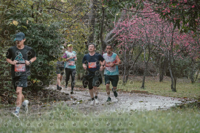 2026左岸竹東櫻花馬拉松Zhudong Sakura Marathon