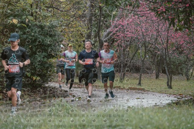 2026左岸竹東櫻花馬拉松Zhudong Sakura Marathon