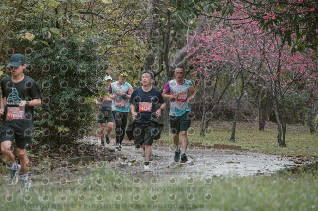 2026左岸竹東櫻花馬拉松Zhudong Sakura Marathon