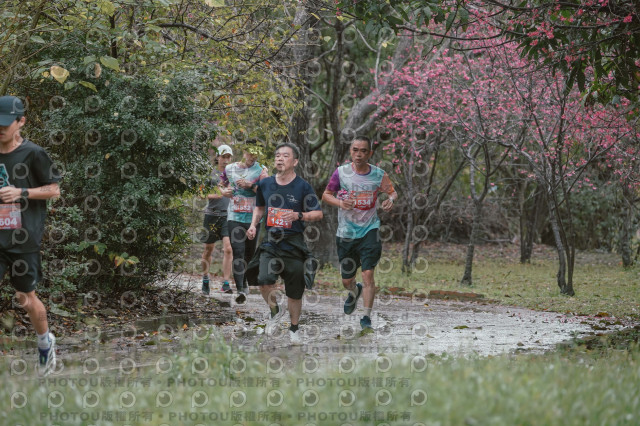 2026左岸竹東櫻花馬拉松Zhudong Sakura Marathon