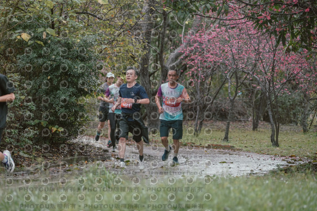 2026左岸竹東櫻花馬拉松Zhudong Sakura Marathon