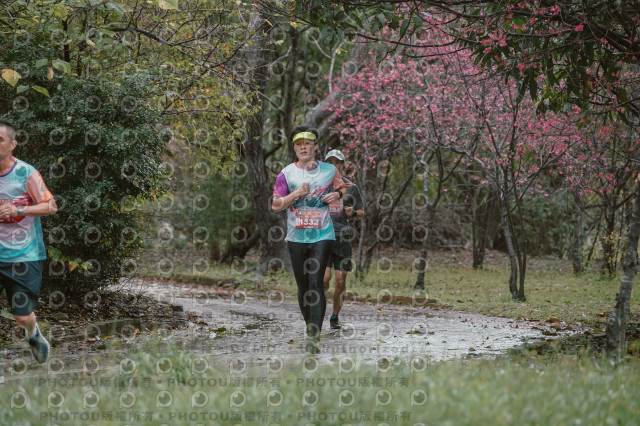 2026左岸竹東櫻花馬拉松Zhudong Sakura Marathon