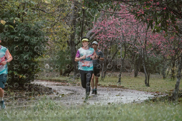 2026左岸竹東櫻花馬拉松Zhudong Sakura Marathon