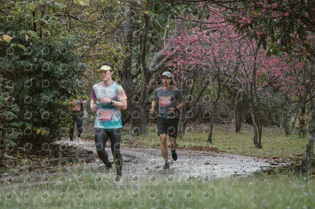 2026左岸竹東櫻花馬拉松Zhudong Sakura Marathon