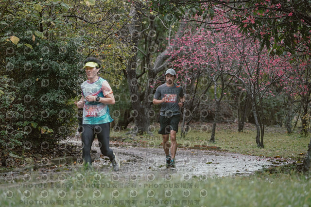 2026左岸竹東櫻花馬拉松Zhudong Sakura Marathon