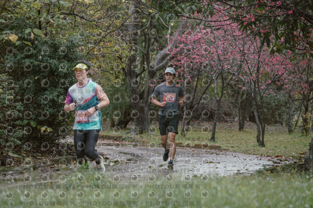 2026左岸竹東櫻花馬拉松Zhudong Sakura Marathon