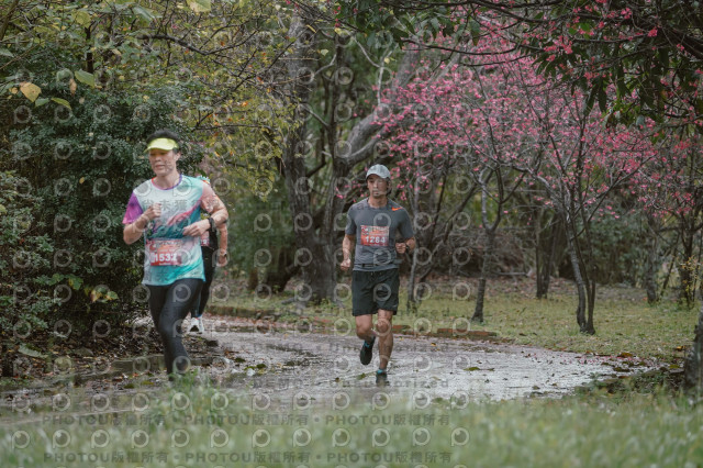2026左岸竹東櫻花馬拉松Zhudong Sakura Marathon