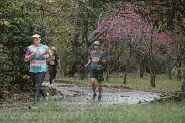 2026左岸竹東櫻花馬拉松Zhudong Sakura Marathon