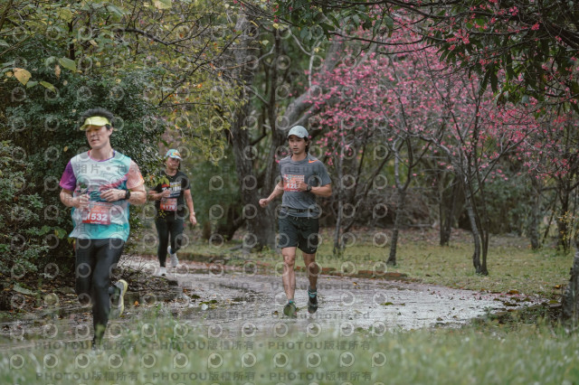 2026左岸竹東櫻花馬拉松Zhudong Sakura Marathon