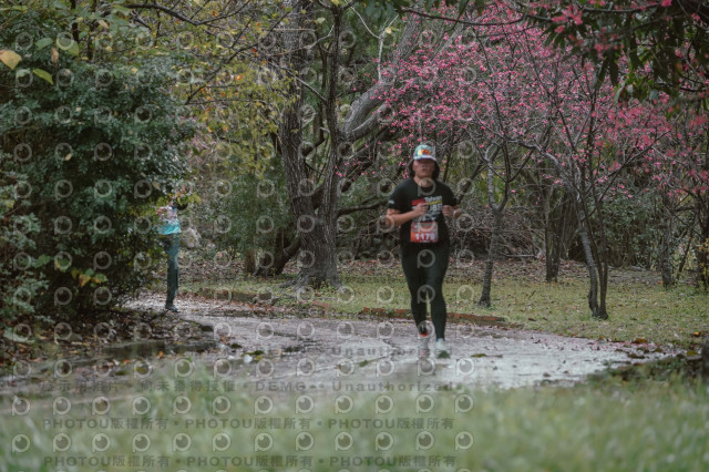2026左岸竹東櫻花馬拉松Zhudong Sakura Marathon
