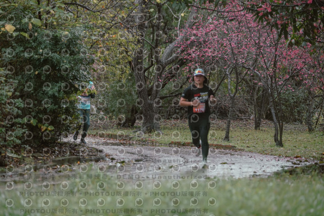 2026左岸竹東櫻花馬拉松Zhudong Sakura Marathon