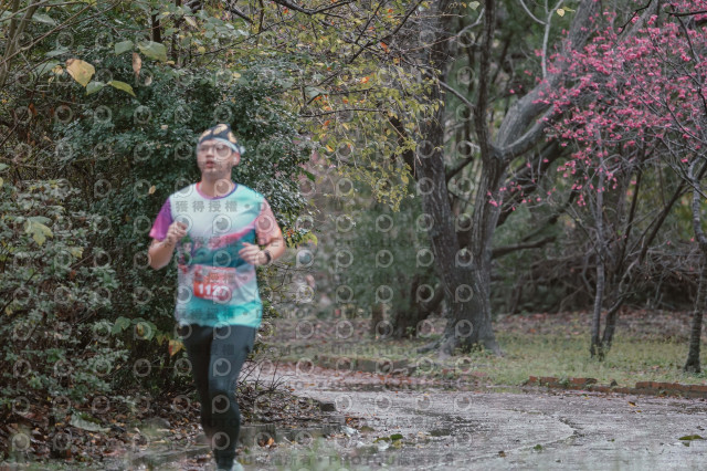2026左岸竹東櫻花馬拉松Zhudong Sakura Marathon