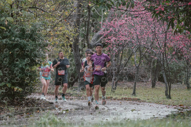 2026左岸竹東櫻花馬拉松Zhudong Sakura Marathon