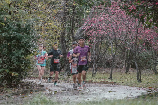 2026左岸竹東櫻花馬拉松Zhudong Sakura Marathon