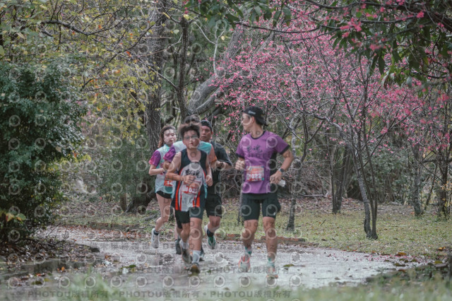 2026左岸竹東櫻花馬拉松Zhudong Sakura Marathon