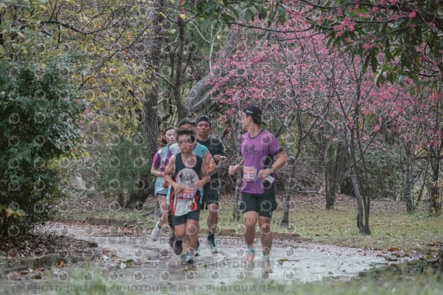 2026左岸竹東櫻花馬拉松Zhudong Sakura Marathon