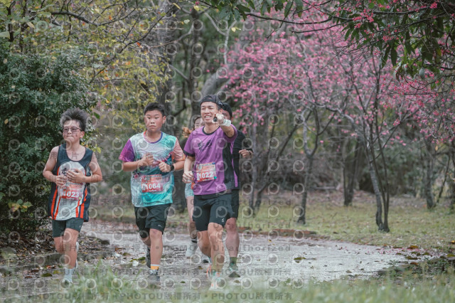 2026左岸竹東櫻花馬拉松Zhudong Sakura Marathon